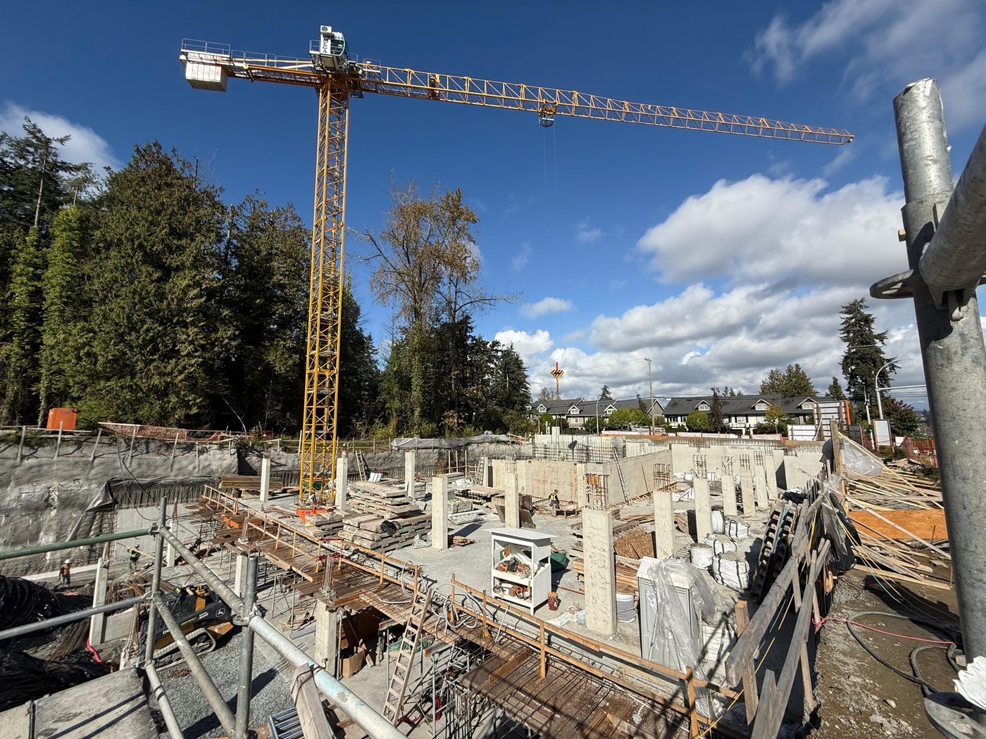 VIVA — On site